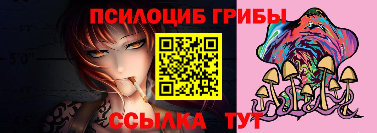Галлюциногенные грибы Psilocybe  купить наркотик  Псилоцибиновые грибы мухоморы  Великий Устюг  Вход с VPN 